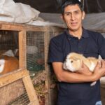 Farmer on a guinea pig farm